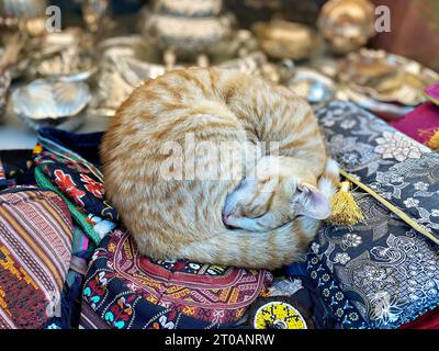 Rote Katze schläft auf Warentüchern auf dem Markt Stockfoto