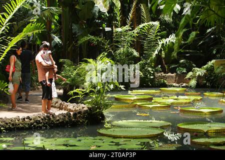 Besucher genießen den See mit Seerosenblättern (Victoria Regia), Nymphaeaceae, des öffentlichen Parks und des Naturkundemuseums Emilio Goeldi (1866) in Belém am 5. Oktober 2023 Amazonasregion nördlich von Brasilien. Die Stadt Belém, die künftig Gastgeber der 30. UN-Konferenz (COP 30) zum Klimawandel sein wird, wird 2025 über den Umweltschutz diskutieren. (Foto von Paulo Amorim/SIPA USA) Credit: SIPA USA/Alamy Live News Stockfoto