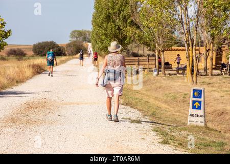 Pilger auf dem Spanischen Jakobsweg, dem Jakobsweg entlang des als Meseta bekannten Abschnitts Stockfoto