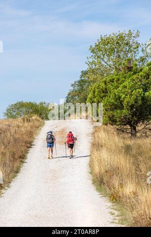 Pilger auf dem Spanischen Jakobsweg, dem Jakobsweg entlang des als Meseta bekannten Abschnitts Stockfoto