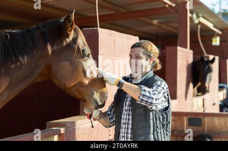 Lächelnder erwachsener Putzkopf eines braunen Pferdes mit Bürste im Pferdeclub Stockfoto