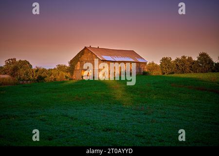 Tabak hängt in einer Scheune, die von der untergehenden Sonne hervorgehoben wird. Stockfoto