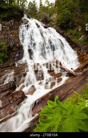 Bertha Falls im Waterton Lakes National Park, Alberta, Kanada Stockfoto