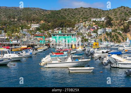 Avalon, CA, USA - 13. September 2023: Boote im Hafen mit Häusern auf einem Hügel in der Stadt Avalon, Kalifornien. Stockfoto