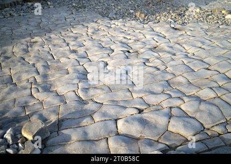 Felsformation am Lavenock Point Beach in der Nähe von Penarth, Südwales, Großbritannien Stockfoto