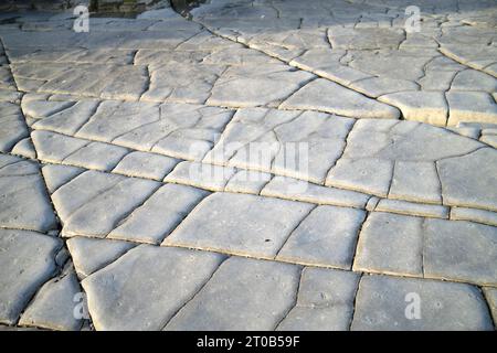 Felsformation am Lavenock Point Beach in der Nähe von Penarth, Südwales, Großbritannien Stockfoto