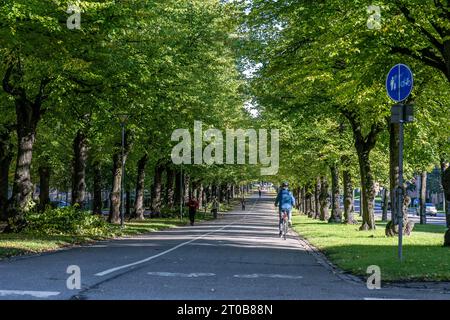 Radfahrer auf der Südpromenade in Norrköping, Schweden. Die Promenaden in Norrköping wurden von der Ringstraße in Wien und den Boulevards in Paris inspiriert. Stockfoto