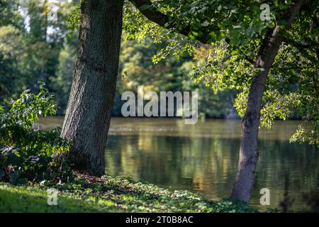 Der Wasserpark Åbackarna entlang des Motala-Flusses im frühen Herbst in Norrköping, Schweden Stockfoto