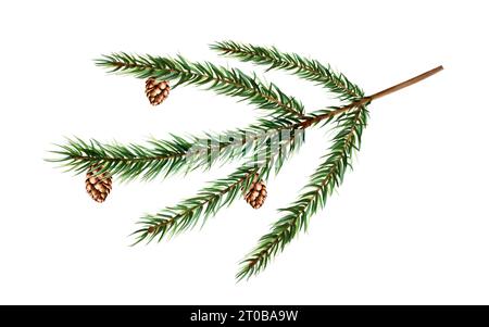 Aquarell-weihnachtsfichte mit Tannenzweig, Zedernholz, Tanne und Lärchenkegel. Botanische Illustration des Neujahrs isoliert auf weißem Hintergrund. Für Konstrukteure, Stockfoto