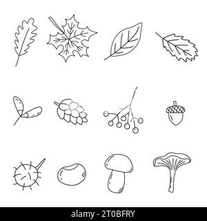 Satz der Herbstelemente, Blätter, Beere, Pilze, Doodle-Stil flache Vektor-Umrissillustration für Kinder Malbuch Stock Vektor