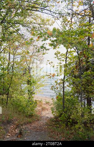 Am Lake Michigan wird Ende September durch hohe Bäume und Äste ruhiges, kräuselndes Wasser beobachtet. Der Weg führt den Hügel hinunter zu einem Sandstrand. Stockfoto