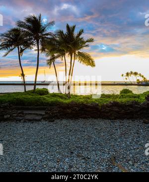 Coconut Palms at Sunset am Anchialine Pond und Anaeho'omalu Bay am Waikoloa Beach, Waikoloa, Hawaii, USA Stockfoto