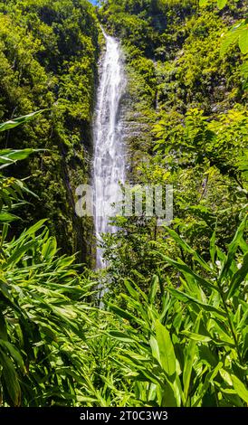 Waimoku Falls am Ende des Pipiwai Trail, Kipahulu District, Haleakala National Park, Maui, Hawaii, USA Stockfoto