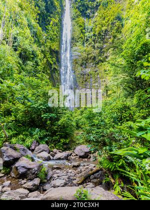 Waimoku Falls auf dem Pipiwai Trail, Kipahulu District, Haleakala National Park, Maui, Hawaii, USA Stockfoto