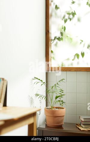 Ein komfortables Zimmer, in dem warme Nachmittagssonne durch ein Fenster mit Blick auf die Blätter der Bäume hereinkommt. Stockfoto