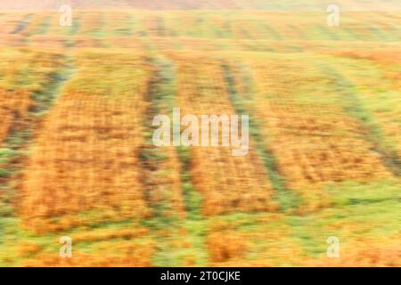 Bewegungsunscharfes Foto eines landwirtschaftlichen Feldes. Stockfoto