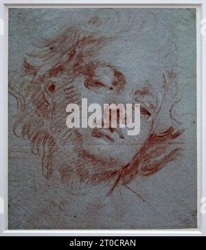 Kopf einer Jugend mit geschlossenen Augen (ca. 1750) von Giovanni Battista Tiepolo oder Giambattista Tiepolo (1696-1770). Italienischer Maler. Rokoko-Stil. Stockfoto