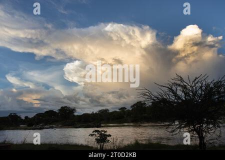 Über Ruaha entwickelt sich eine Cumulonimbus-Sturmwolke. Solche Sturmwolken entwickeln sich oft an heißen Tagen und entfesseln starke Nachmittags- und Abendfluten. Stockfoto