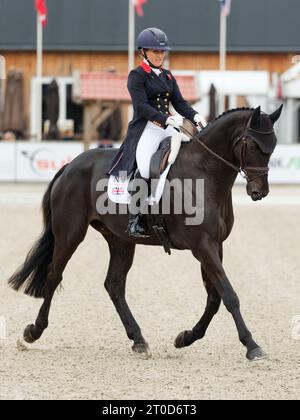 Laura COLLETT aus Großbritannien mit Dacapo während der Dressur bei den Boekelo Horse Trials CCIO 4*-NC-L am 5. Oktober 2023, Niederlande (Foto: Maxime David/MXIMD Pictures - mximd.com) Stockfoto