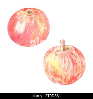 Clipart handgemalte rote Äpfel. Botanische Illustration mit Aquarell isoliertes Element auf weißem Hintergrund. Kunst für Lebensmitteldesign, Logo, Muster Stockfoto