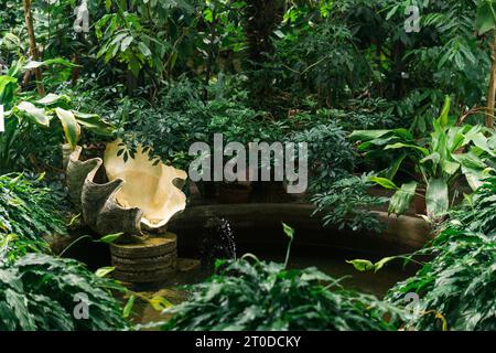 Dekorativer Brunnen im Reservoir des Palutariums mit Farnen Stockfoto