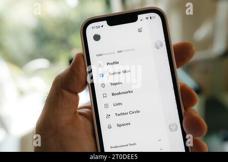 Hamburg, Deutschland - 24. Juli 2023: Twitter-Profil mit blauem Thema, Lesezeichen, Listen, Followern und Followern für einen nicht-Influencer-Nutzer. Stockfoto