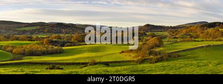 Fleet Valley National Scenic Area im Herbst, in der Nähe des Gatehouse of Fleet, Dumfries & Galloway, Schottland Stockfoto