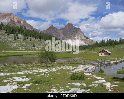 Le Vert See in der Nähe der Lavarella Hütte im Grünen des Naturparks Fanes - Sennes - Prags, Alpi, Italien. Stockfoto