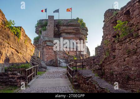 Felsenschloss Hohbarr (Chateau du Haut-Barr) bei Saverne (Zabern), Unterrhein, Elsass, Grand Est, Elsass-Champagne-Ardenne-Lothringen, Frankreich Stockfoto