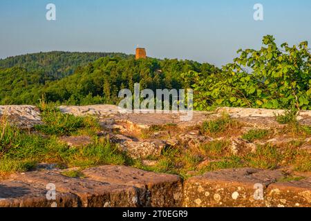 Felsenburg Hohbarr (Chateau du Haut-Barr) mit Blick auf das Schloss Groß-Geroldseck bei Saverne (Zabern), Unterrhein, Elsass, Grand Est, Elsaß-Champagne-Ardenne-Lothringen, Frankreich Stockfoto