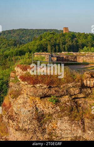 Felsenburg Hohbarr (Chateau du Haut-Barr) mit Blick auf das Schloss Groß-Geroldseck bei Saverne (Zabern), Unterrhein, Elsass, Grand Est, Elsaß-Champagne-Ardenne-Lothringen, Frankreich Stockfoto