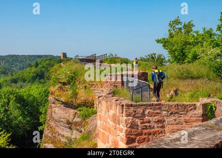 Felsenburg Hohbarr (Chateau du Haut-Barr) mit Blick auf das Schloss Groß-Geroldseck bei Saverne (Zabern), Unterrhein, Elsass, Grand Est, Elsaß-Champagne-Ardenne-Lothringen, Frankreich Stockfoto