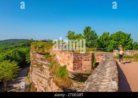 Felsenburg Hohbarr (Chateau du Haut-Barr) mit Blick auf das Schloss Groß-Geroldseck bei Saverne (Zabern), Unterrhein, Elsass, Grand Est, Elsaß-Champagne-Ardenne-Lothringen, Frankreich Stockfoto