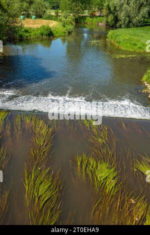 Saar in der Alten Mühle in Sarraltroff, Departement Moselle, Grand Est, Frankreich Stockfoto