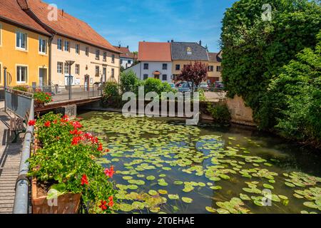 Alte Mühle Moulin de sarrewerden in Saarwerden, Saar, Departement Bas-Rhin, Grand Est, Frankreich Stockfoto