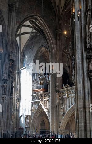 Wien, Österreich, St. Stephansdom, Innenansicht Stockfoto