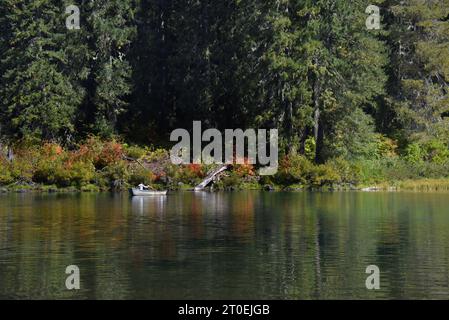 Man rudert ein kleines Boot am Ufer des Clear Lake in Oregon. Der Herbst hat tief liegende Büsche am Ufer des Sees gefärbt. Stockfoto