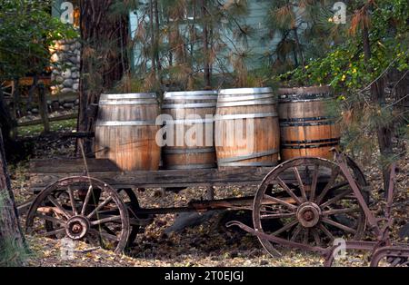 Vier alte Holzfässer fahren in einem antiken Wagen. Die Fässer haben Metallbänder. Der Wagen hat Holzräder mit Metallfelgen. Stockfoto