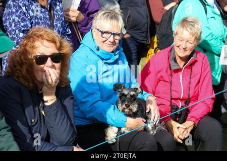 Kingsbarns Fife, Großbritannien. Oktober 2023. Im Dunhill Links Championship Whisky hat der Hund einen Blick auf den Golf aus nächster Nähe (Foto: David Mollison/Alamy Live News Stockfoto