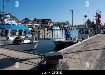 Fischerboote im Hafen von Vitte, Insel Hiddensee, Mecklenburg-Vorpommern, Deutschland Stockfoto