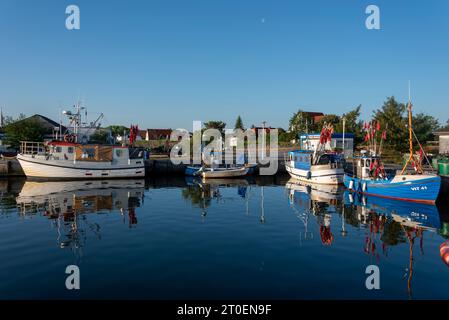 Fischerboote im Hafen von Vitte, Insel Hiddensee, Mecklenburg-Vorpommern, Deutschland Stockfoto