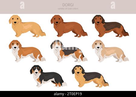 Dorgi Clipart. Walisischer Corgi Dachshund Mix. Verschiedene Beschichtungsfarben eingestellt. Vektorabbildung Stock Vektor