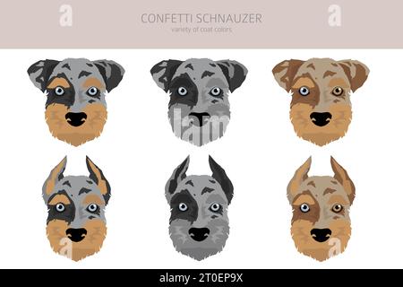 Konfetti Schnauzer Clipart. Miniatur Schnauzer australische Hirtenmischung. Verschiedene Beschichtungsfarben eingestellt. Vektorabbildung Stock Vektor