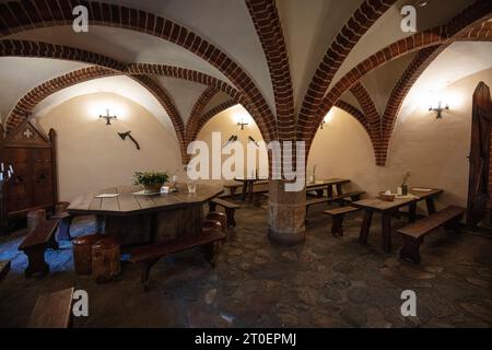 Marienburg, Malbork, Burg des Deutschen Ordens, Nogat, Ziegelstein Stockfoto