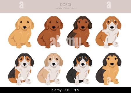 Dorgi Clipart. Walisischer Corgi Dachshund Mix. Verschiedene Beschichtungsfarben eingestellt. Vektorabbildung Stock Vektor