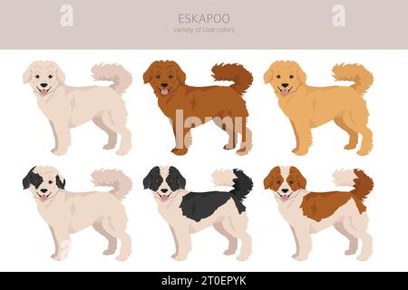 Eskapoo Clipart. Eskimo Dog Poodle Mix. Verschiedene Beschichtungsfarben eingestellt. Vektorabbildung Stock Vektor