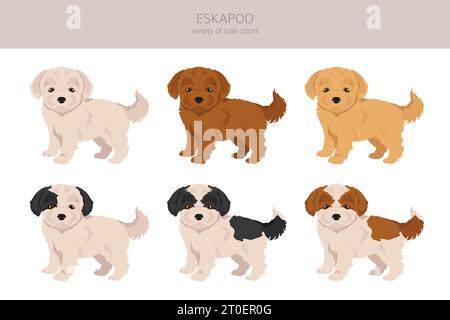 Eskapoo Clipart. Eskimo Dog Poodle Mix. Verschiedene Beschichtungsfarben eingestellt. Vektorabbildung Stock Vektor