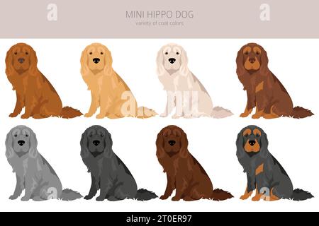 Mini-Hippo-Clipart. Shar Pei - Cocker Spaniel Mix. Verschiedene Beschichtungsfarben eingestellt. Vektorabbildung Stock Vektor