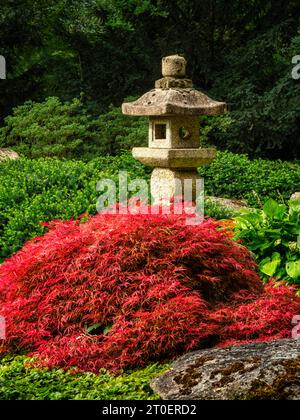 Der Japanische Garten im Botanischen Garten Augsburg Stockfoto