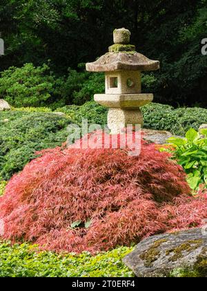 Der Japanische Garten im Botanischen Garten Augsburg Stockfoto